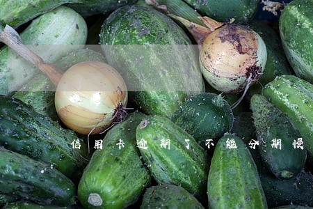 信用卡逾期了不能分期慢慢还 信用卡逾期了不能分期慢慢还