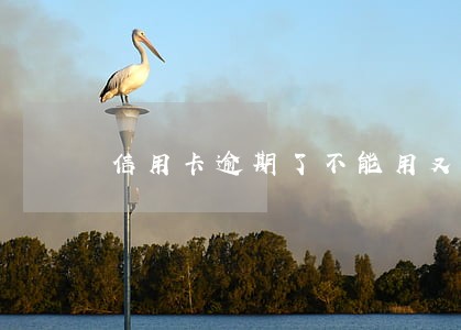 信用卡逾期了不能用又能坐交通