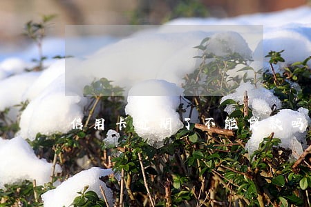 信用卡逾期了不能贷款吗 信用卡逾期了不能贷款吗
