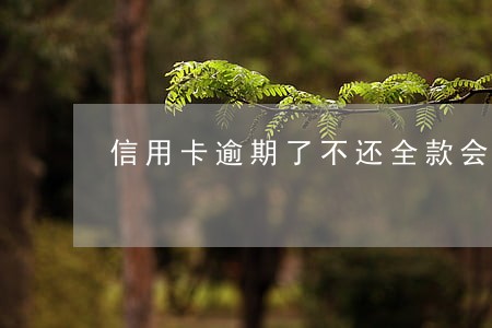 信用卡逾期了不还全款会有事吗