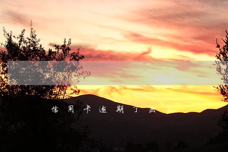 信用卡逾期了丢了 信用卡逾期了丢了