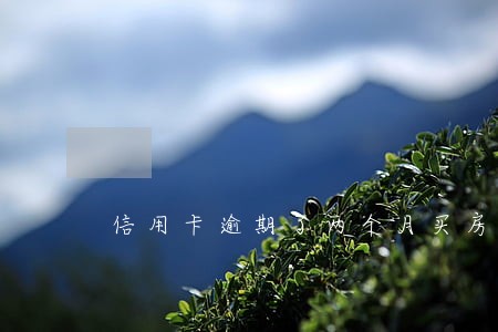 信用卡逾期了两个月买房 信用卡逾期了两个月买房