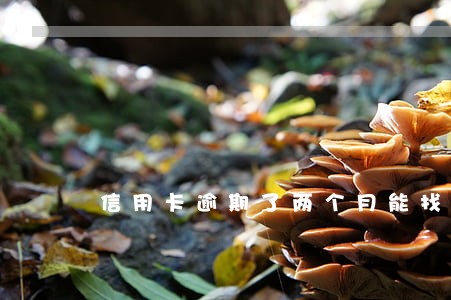 信用卡逾期了两个月能找代还吗
