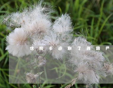 信用卡逾期了两周严重吗