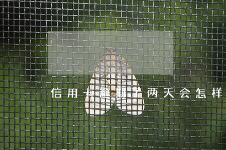 信用卡逾期了两天会怎样 信用卡逾期了两天会怎样