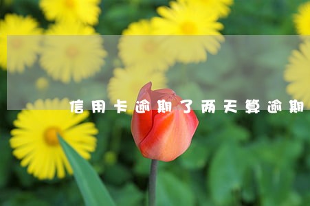 信用卡逾期了两天算逾期吗 信用卡逾期了两天算逾期吗