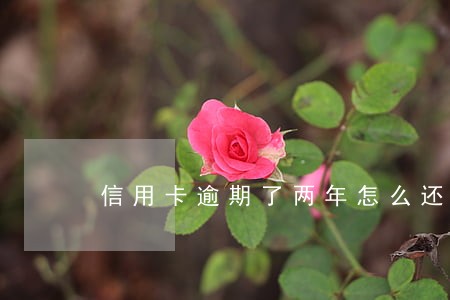 信用卡逾期了两年怎么还不怀孕 信用卡逾期了两年怎么还不怀孕