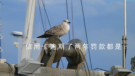 信用卡逾期了两年罚款都是 信用卡逾期了两年罚款都是