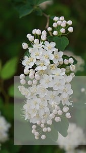 信用卡逾期了两年还可以申请吗 信用卡逾期了两年还可以申请吗