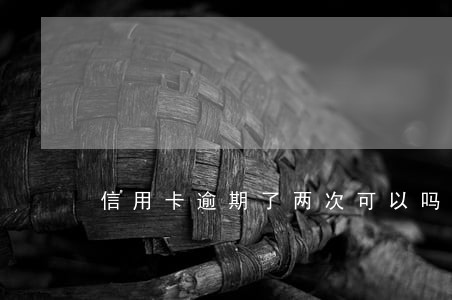 信用卡逾期了两次可以吗 信用卡逾期了两次可以吗
