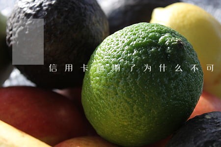 信用卡逾期了为什么不可以分期还