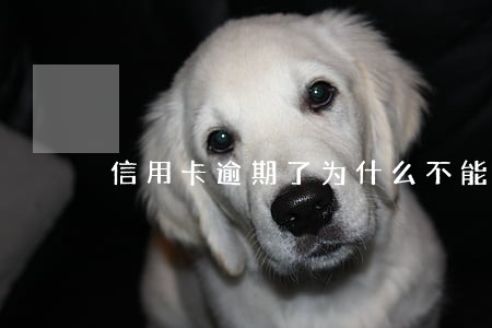 信用卡逾期了为什么不能分期
