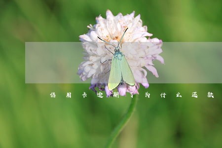 信用卡逾期了为什么还款金额翻倍 信用卡逾期了为什么还款金额翻倍