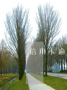 信用卡逾期了为什么还能刷 信用卡逾期了为什么还能刷