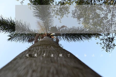 信用卡逾期了之后还上了额度 信用卡逾期了之后还上了额度