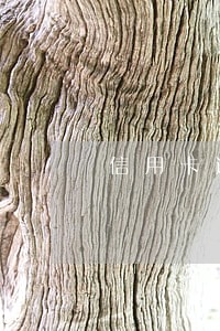 信用卡逾期了九色优选还能用吗