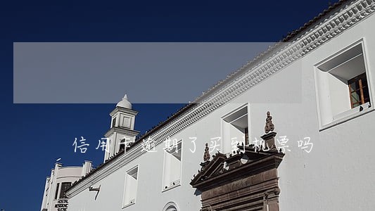 信用卡逾期了买到机票吗 信用卡逾期了买到机票吗