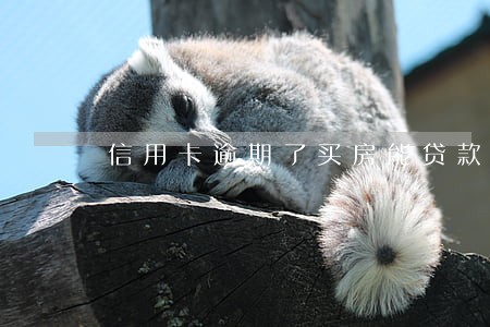 信用卡逾期了买房能贷款 信用卡逾期了买房能贷款