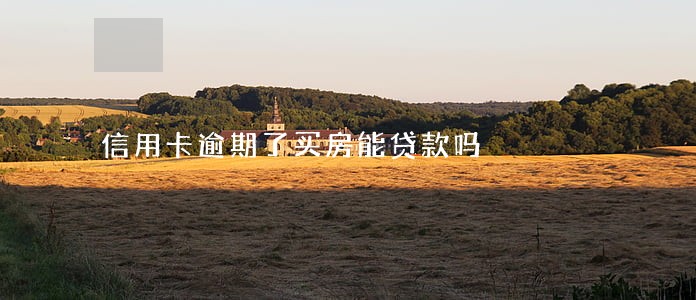信用卡逾期了买房能贷款吗 信用卡逾期了买房能贷款吗