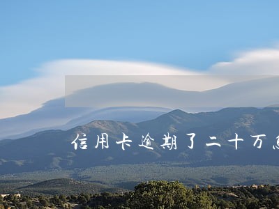 信用卡逾期了二十万怎么办 信用卡逾期了二十万怎么办