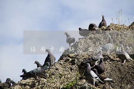 信用卡逾期了二次分期怎么办 信用卡逾期了二次分期怎么办