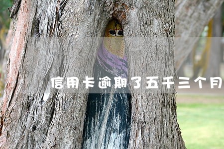 信用卡逾期了五千三个月 信用卡逾期了五千三个月