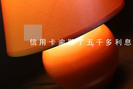 信用卡逾期了五千多利息怎么办 信用卡逾期了五千多利息怎么办