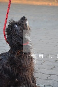信用卡逾期了交最低刷不出来6