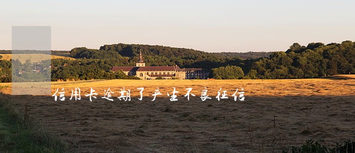 信用卡逾期了产生不良征信 信用卡逾期了产生不良征信