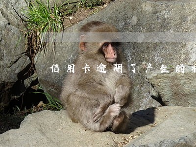 信用卡逾期了产生的利息高吗