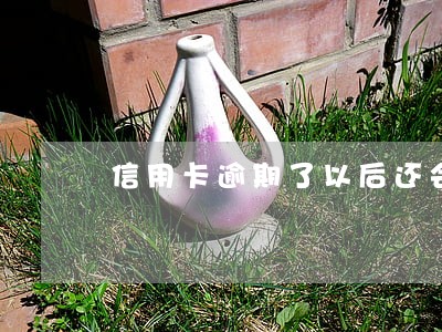 信用卡逾期了以后还会下卡吗
