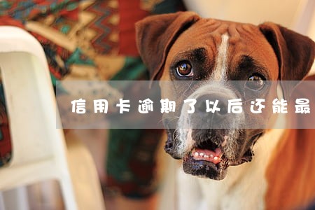 信用卡逾期了以后还能最低还款吗