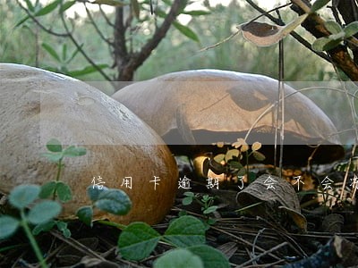 信用卡逾期了会不会冻结医保卡