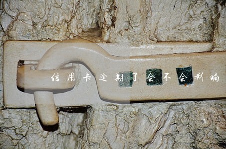 信用卡逾期了会不会影响征信