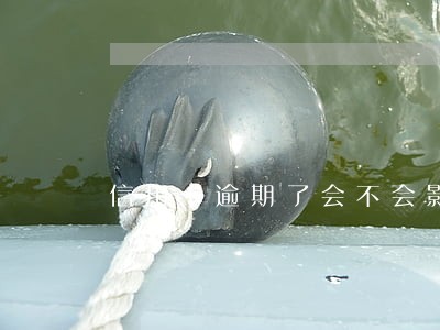 信用卡逾期了会不会影响政审 信用卡逾期了会不会影响政审