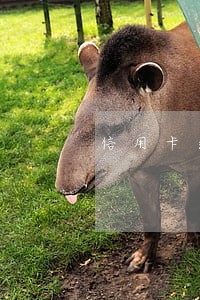 信用卡逾期了会不会影响背调 信用卡逾期了会不会影响背调