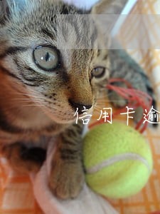 信用卡逾期了会仲裁吗 信用卡逾期了会仲裁吗