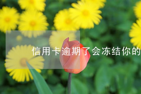 信用卡逾期了会冻结你的医保卡吗