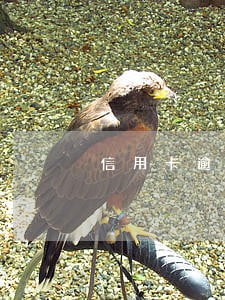信用卡逾期了会到家里找