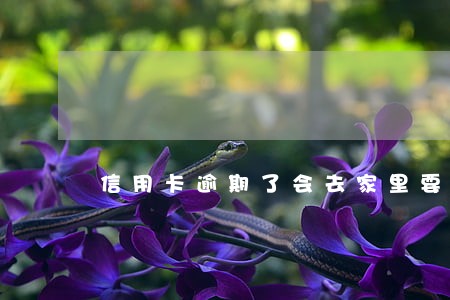 信用卡逾期了会去家里要债吗 信用卡逾期了会去家里要债吗