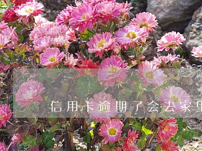 信用卡逾期了会去家里要吗