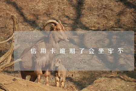 信用卡逾期了会坐牢不 信用卡逾期了会坐牢不