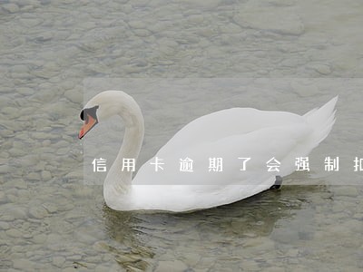 信用卡逾期了会强制扣款吗 信用卡逾期了会强制扣款吗