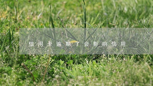 信用卡逾期了会影响信用 信用卡逾期了会影响信用