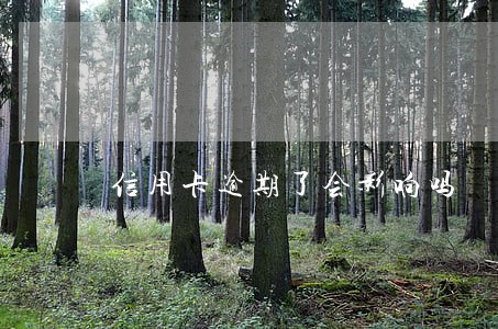 信用卡逾期了会影响吗 信用卡逾期了会影响吗