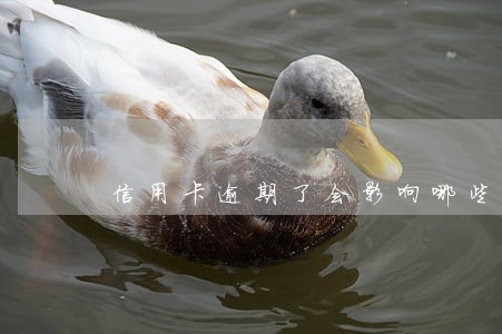 信用卡逾期了会影响哪些