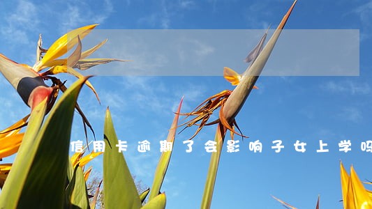 信用卡逾期了会影响子女上学吗