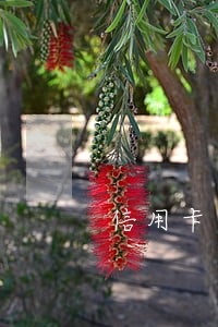 信用卡逾期了会影响征信贷款吗 信用卡逾期了会影响征信贷款吗