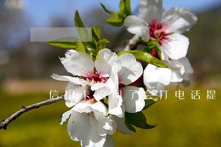信用卡逾期了会打电话提醒吗 信用卡逾期了会打电话提醒吗