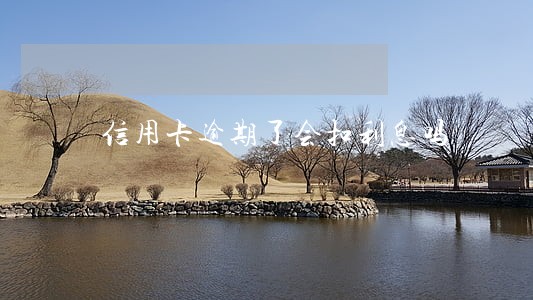 信用卡逾期了会扣利息吗 信用卡逾期了会扣利息吗
